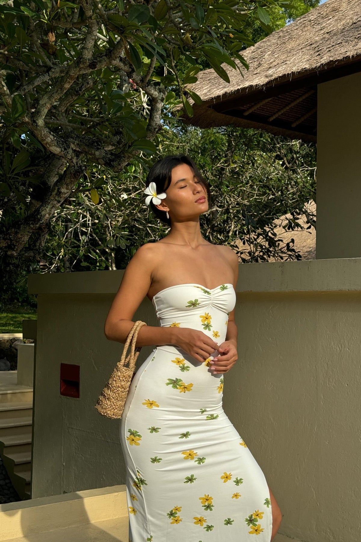 Auristella Maxi
