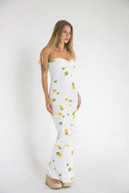Auristella Maxi
