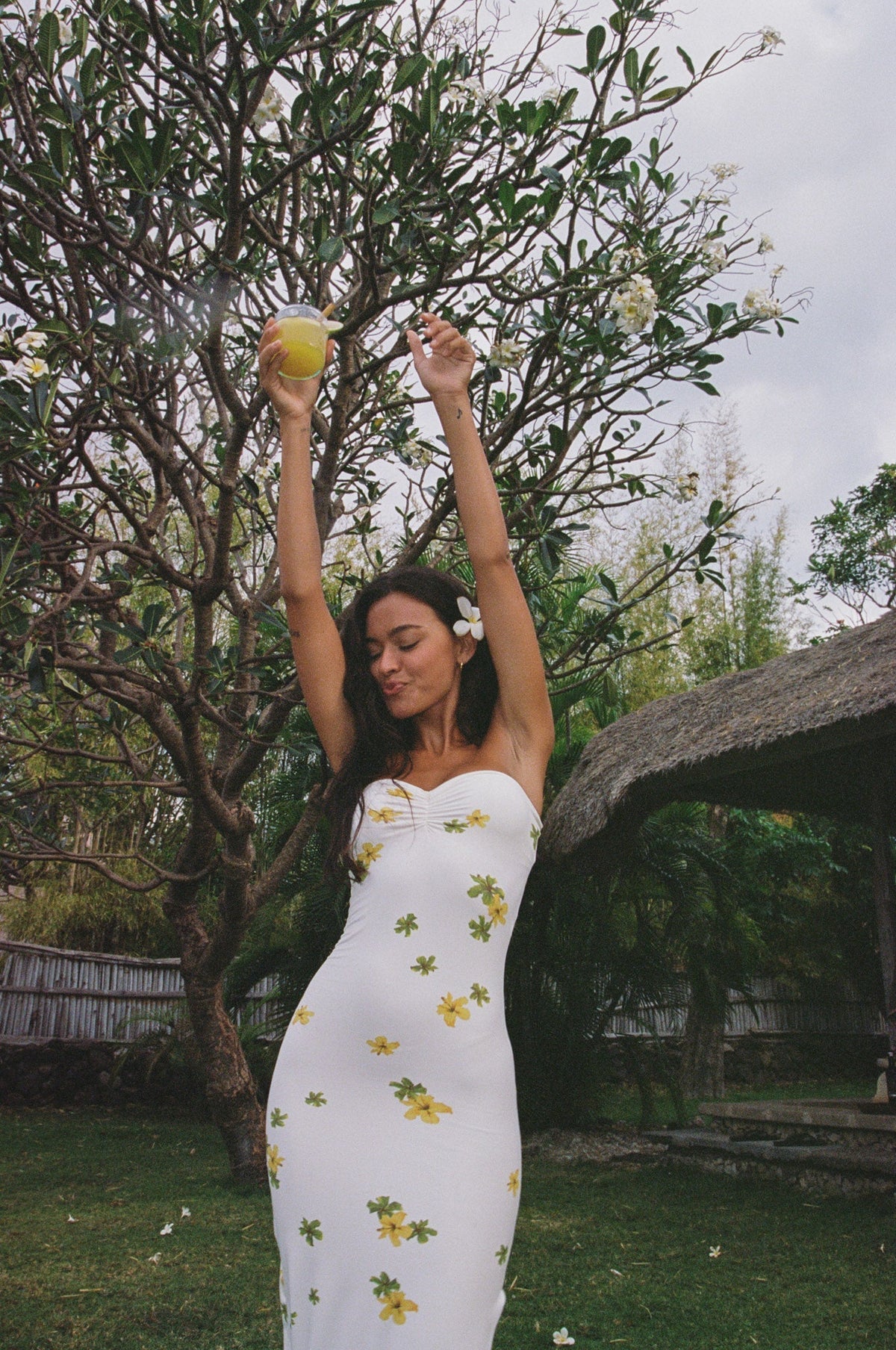 Auristella Maxi